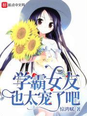 女友的最新节章更新内容,揭秘情感纠葛，共度风雨历程