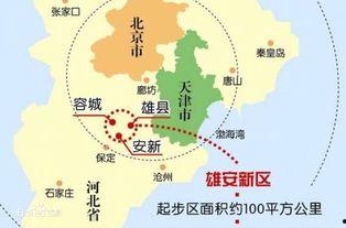 国产一区,聚焦本土影视力量，共筑文化自信新篇章