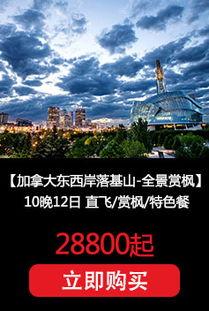 在线观,揭秘网络世界的无限魅力与挑战