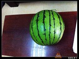 吃瓜17网,热门话题背后的真相与趣味