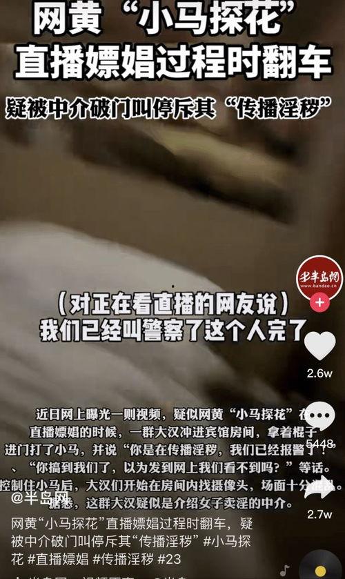 午夜探花视频,揭秘神秘花魁的奇幻之旅